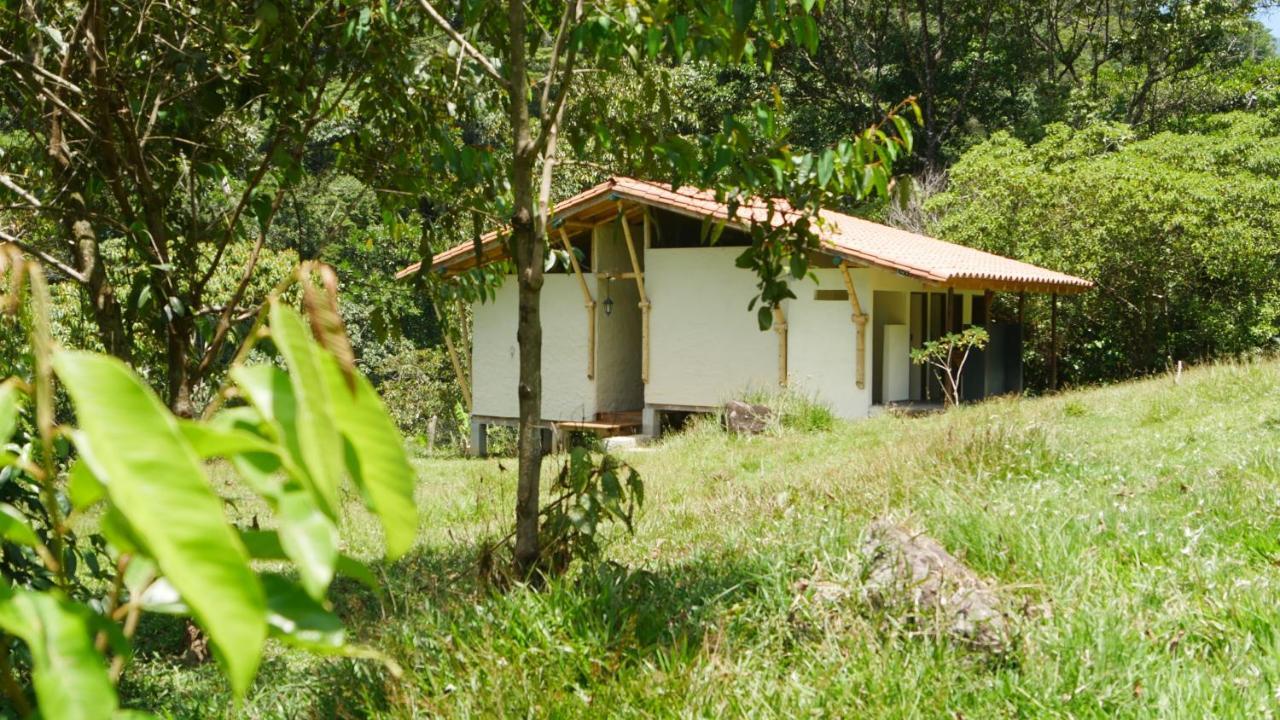 La Perla Negra - Black Pearl Eco Hostel سان رافائيل المظهر الخارجي الصورة