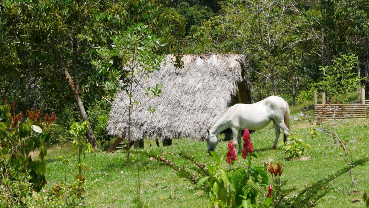 La Perla Negra - Black Pearl Eco Hostel سان رافائيل المظهر الخارجي الصورة