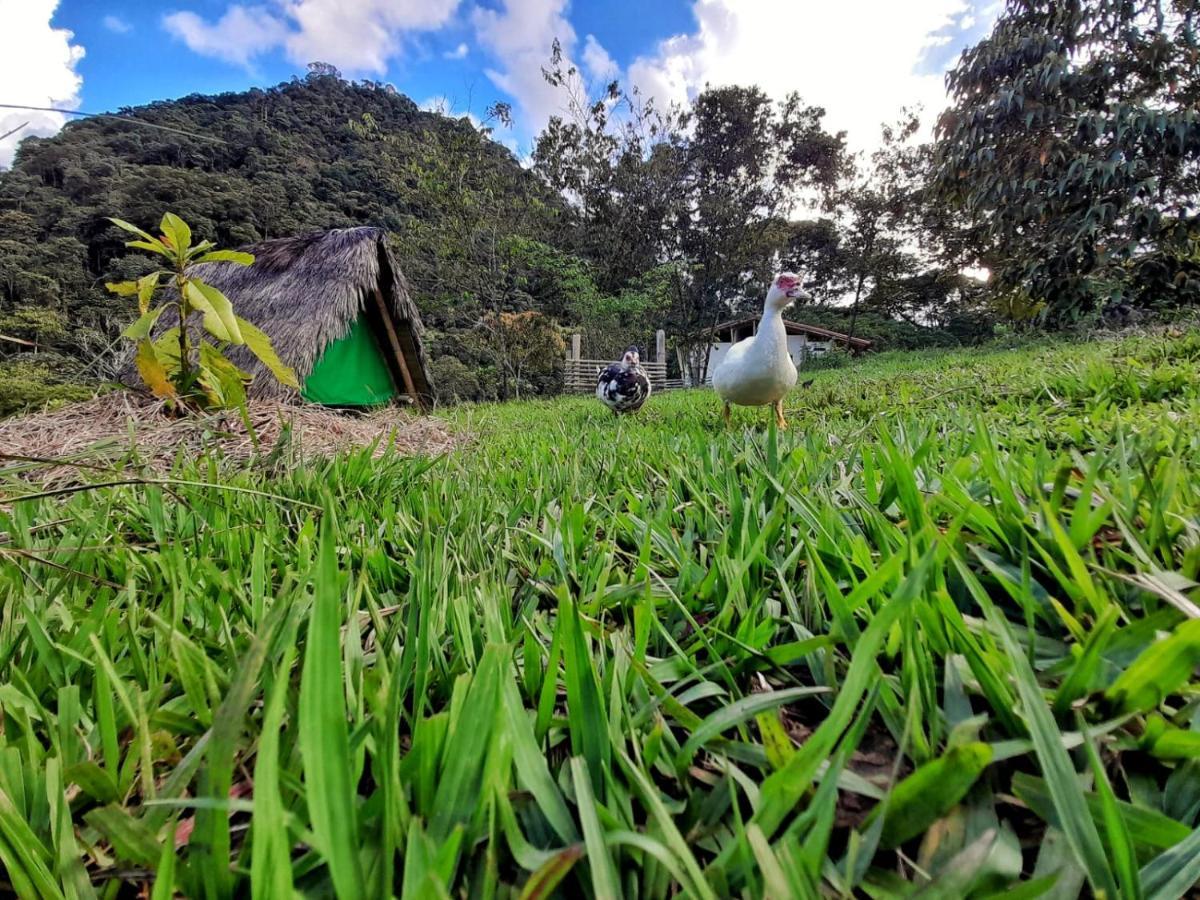 La Perla Negra - Black Pearl Eco Hostel سان رافائيل المظهر الخارجي الصورة