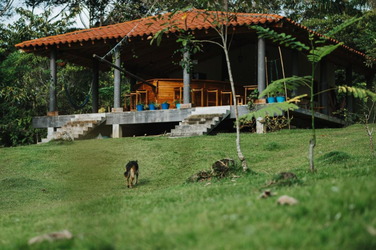 La Perla Negra - Black Pearl Eco Hostel سان رافائيل المظهر الخارجي الصورة