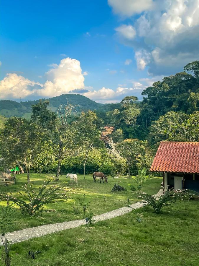 La Perla Negra - Black Pearl Eco Hostel سان رافائيل المظهر الخارجي الصورة