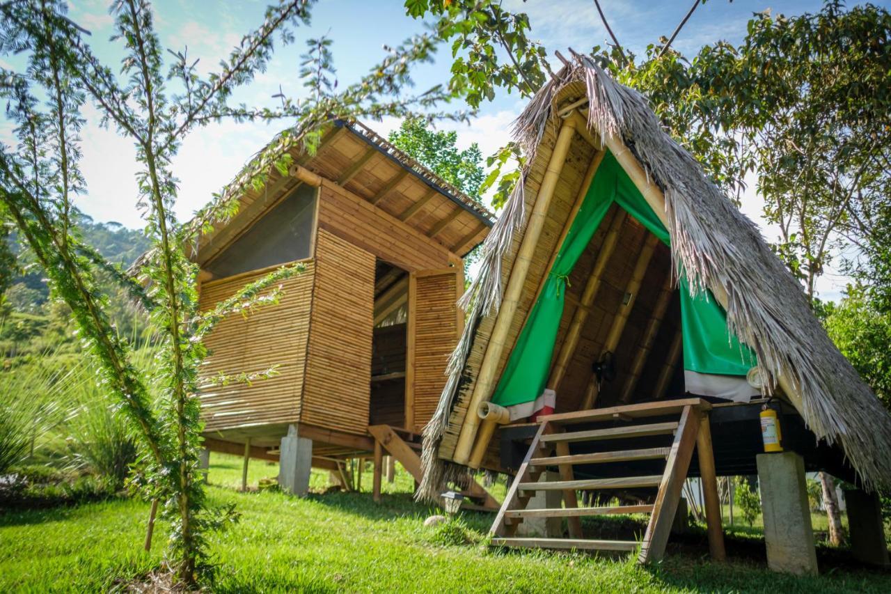 La Perla Negra - Black Pearl Eco Hostel سان رافائيل المظهر الخارجي الصورة