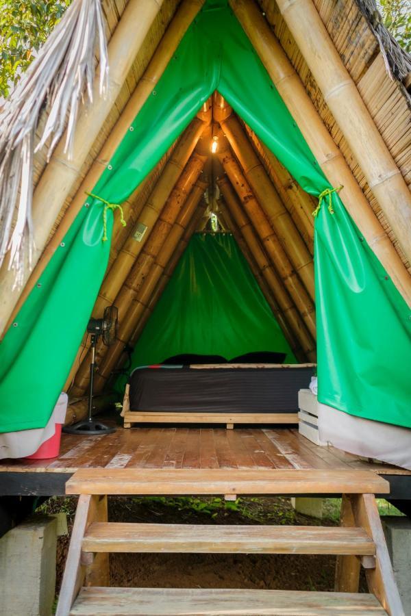 La Perla Negra - Black Pearl Eco Hostel سان رافائيل المظهر الخارجي الصورة