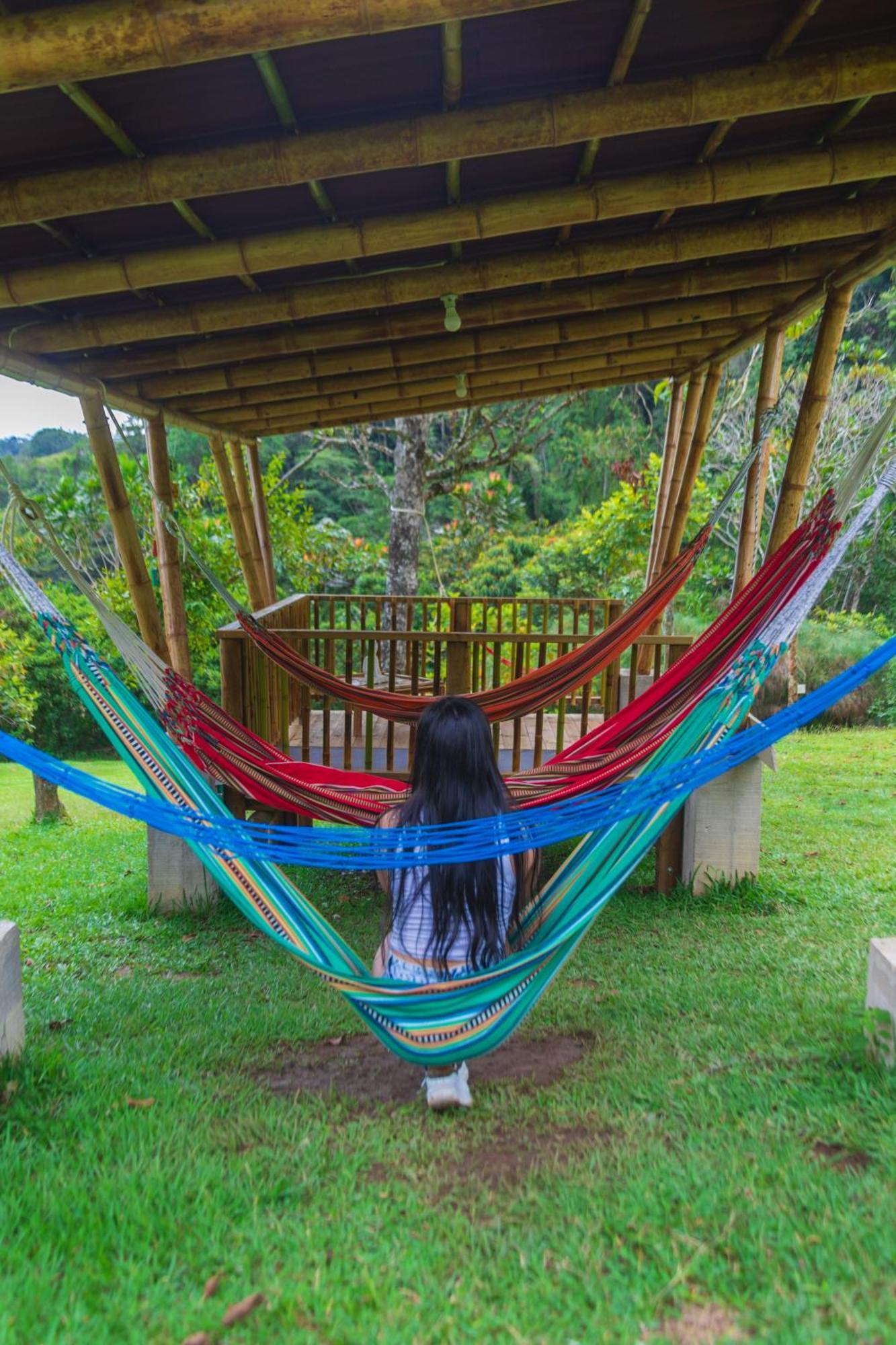 La Perla Negra - Black Pearl Eco Hostel سان رافائيل المظهر الخارجي الصورة