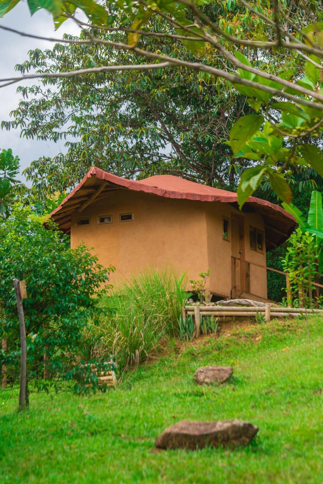 La Perla Negra - Black Pearl Eco Hostel سان رافائيل المظهر الخارجي الصورة